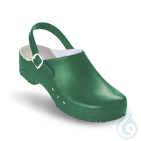 antist. ChiroClogs Professional mit Fersenriemen grün, Gr. 35 antist....