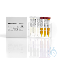Chek-Stix UA Diptube Liquid QC gebrauchsfertige Flüssigkeitskontrolle  2 x...