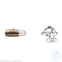 Ersatzlampe für BIO Kopfbandsystem Ersatzlampe für BIO Kopfbandsystem  