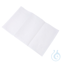 Spenderservietten, 25,5 x 15,5 cm, 2-lagig, weiß | Zellulose, FSC®-Mix...