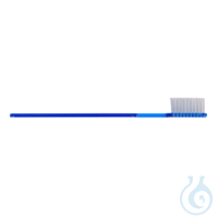 Einweg-Zahnbürsten | Kunststoff blau Einweg-Zahnbürsten | Kunststoff blau