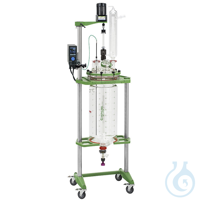 50L Process Reactor, Complete, Electric Motor, Mechanical Bearing, 90.8