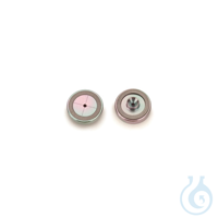 Siltek Inlet Seal Dual Vespel Ring 0.8mm for Thermo 1300 and 1310 GCs 2-pk...