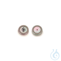 Siltek Inlet Seal Dual Vespel Ring 1.2mm for Thermo 1300 and 1310 GCs 2-pk...