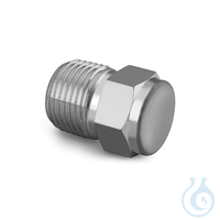 Sample Cylinder 316 SST End Pipe Plug 1/4" MPT Frachtkosten pro Bestellung:...
