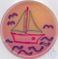RAMBACH AGAR F.4X250 ML
