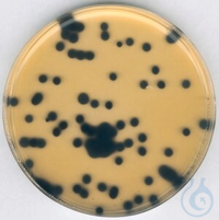 Clostridium perfringens Selektiv-Supplement, 10 X 1 VIA Clostridium...