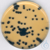 Clostridium perfringens Selektiv-Supplement, 10 X 1 VIA