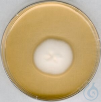 SABOURAUD-4% Glucose-Agar für die Mikrobiologie (According harm. EP/USP/JP), 5