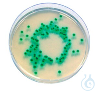 2Artikel ähnlich wie: Enterobacter Sakazakii Agar für die Mikrobiologie Chromocult®, 100 G...