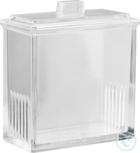 DC-Simultan-Entwicklungs- kammer 20 x 20 cm  VE=1 Stück...