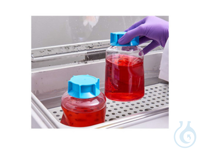 Stericup-Flasche 500 ml VE=12  VE=12 Stück Stericup-Flasche 500 ml VE=12...