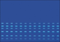 HPTLC Kieselgel 60 DIOL F254s 25 Glasplatten 20 x 10 cm  VE=25 Unit HPTLC...