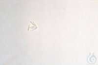 PVDF-Doppelkonen für Edelstahl-Kapillarverbindungen i.D. 0.2 mm. a.D. 0.5 mm...