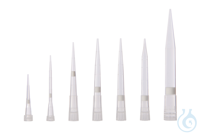 Filterspitzen 0.1-10 µl XL / 20 µl. steril. transparent. graduiert. VE=960...