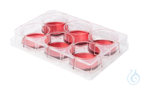 Multiwell-Zellkulturplatten 6 Wells. steril. einzeln verpackt. VE=100....