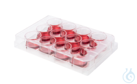 Multiwell-Zellkulturplatten 12 Wells. steril. einzeln verpackt. VE=100....
