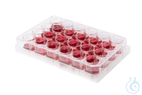 Multiwell-Zellkulturplatten 24 Wells. steril. einzeln verpackt. VE=100....
