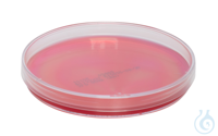 XLD Agar Ph.Eur. (Xylose Lysin Desoxycholat Agar) Fertigplatten 90 mm. Festes...