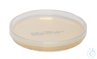 CASO Agar (TSA). Fertigplatten 90 mm. dreifach verpackt. bestrahlt. Festes...