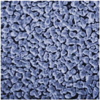 FILTER, SILVER, 0.8&micro;m, 25MM, 50/PK FILTER, SILVER, 0.8&micro;m, 25MM, 50/PK