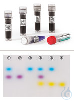 Roti Load DNA-Small DNAse-Frei 5 x 1,8 ml ROTI®Load DNA-small (mit Glycerin), 6x...