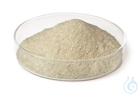 Bovines Serumalbumin, biotinfrei 200 g Bovines Serumalbumin (BSA) Fraktion V,, biotinfrei,...