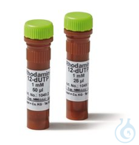 Rhodamin-12-dUTP 25 nmol Rhodamin-12-dUTP, min. 95 %, 1 mM Lösung, Molare Masse (M) 990,7 g/mol,...