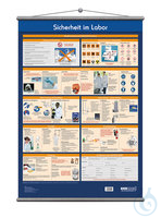 Wandtafel Sicher im Labor 70x100 | 1ST Wandtafel - Sicher im Labor, rollbar, B 70 x H 100 cm...
