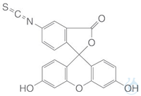 Fluoresceinisothiocyanat Isomer I 100 mg Fluoresceinisothiocyanat Isomer I, min. 90 %, Molare...