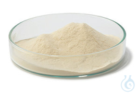 Trypton/Pepton aus Casein 2,5 kg Trypton/Pepton aus Casein, pankreatisch verdaut, für die...