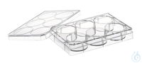 Zellkultur Multiwell Platten, 6 | 100ST Zellkultur Multiwell Platten, PS, mit Abdeckplatte,...