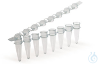 PCR-Reaktionsgefäße mit 125ST PCR-Reaktionsgefäße, PP, farblos, mit anhängendem Deckelstreifen...