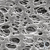 Pes-Membranfilter, Durchmesser 47 100ST PES-Membranfilter, weiß/glatt, Ø 47 mm, Porengröße 0,22...
