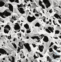 PVDF-Membranfilter, Hydrophil, 100ST PVDF-Membranfilter, hydrophil, Ø 13 mm, Porengröße 0,45 µm...