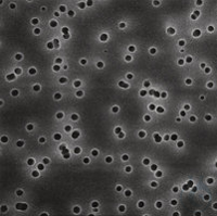 Polycarbonat Membranfilter, Durch- 30ST Polycarbonat-Membranfilter, weiß, Ø 90 mm, Porengröße 0,4...
