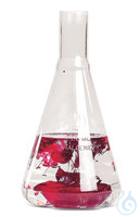Erlenmeyer Kolben mit Schikanen 250ml Erlenmeyerkolben mit Schikanen, PC, 250 ml  Inhalt: 1 Stück