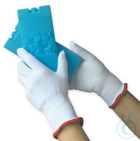 Schutzhandschuhe ActivArmr®, Gr. 7 2 Paar Schutzhandschuhe, ArctivArmr® 78-110, Größe 7, (ex...