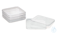 Quadratische Petrischalen, 120 X 240ST Quadratische Petrischalen, PS, L 120 x B 120 x H 17 mm...