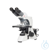 Biologisches Mikroskop, MOTIC BA-410E, trinokular Binokularer oder trinokularer Kopf (je nach...