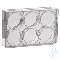 Zellkulturplatte, steril, 12 Vertiefungen, 2 x 50 St. Aus reinem kristallinem Polystyrol, USP...