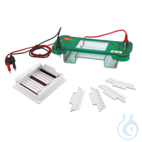 Elektrophoresekammer, horizontal, Gelmaße 200 x 200, 200 x 150 o 200 x 100 mm Verwendet zum...