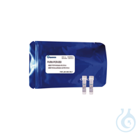 qPCR-Mastermix qLUMEN (2x) mit grünem Farbstoff, ROX hoch, 2 x 1,25 ml, Probe Der Mastermix...