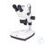 Stereo-Mikroskop, Serie SMZ-171 TP Optisches Zoom-System Greenough. Binokularer oder trinokularer...