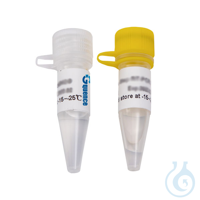 Mastermix für Langstrecken-PCR x-VITA, 100 Reaktionen Der gebrauchsfertige Mastermix (2x) enthält...