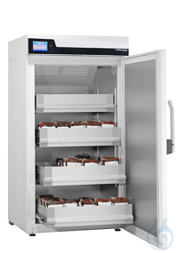 Blutkonserven-Kühlschrank, BL 300 ULTIMATE
